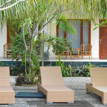 Tarzan Marriott On Penida