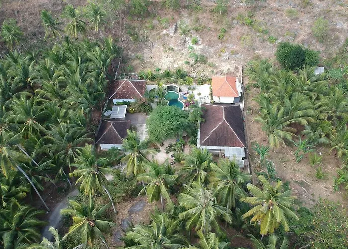 Tarzan Marriott On Penida